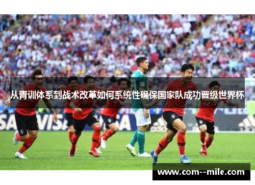 从青训体系到战术改革如何系统性确保国家队成功晋级世界杯