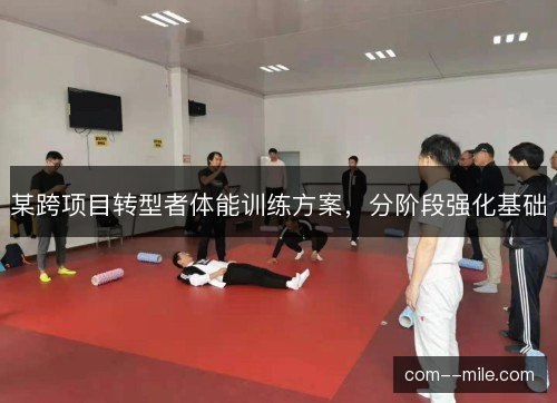 某跨项目转型者体能训练方案，分阶段强化基础